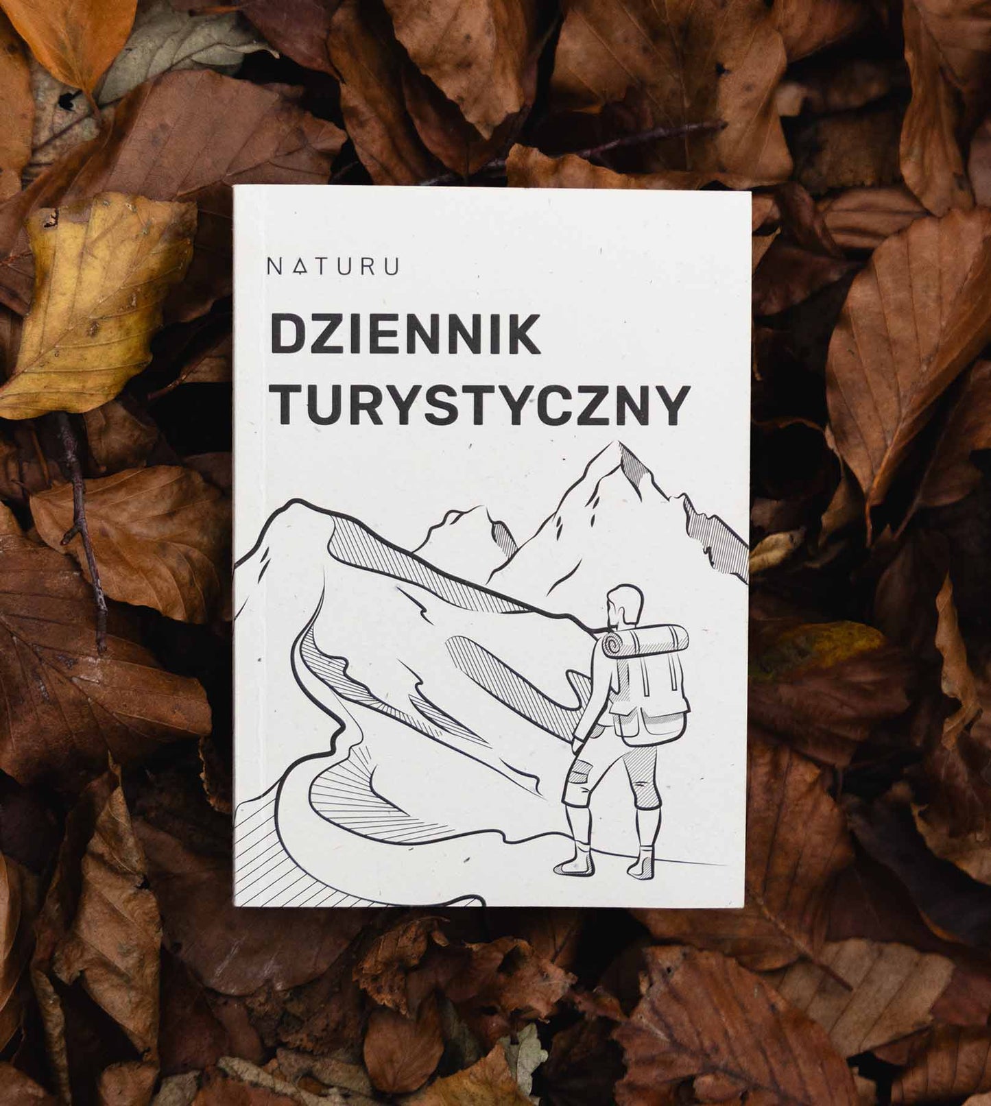 Dziennik Turystyczny
