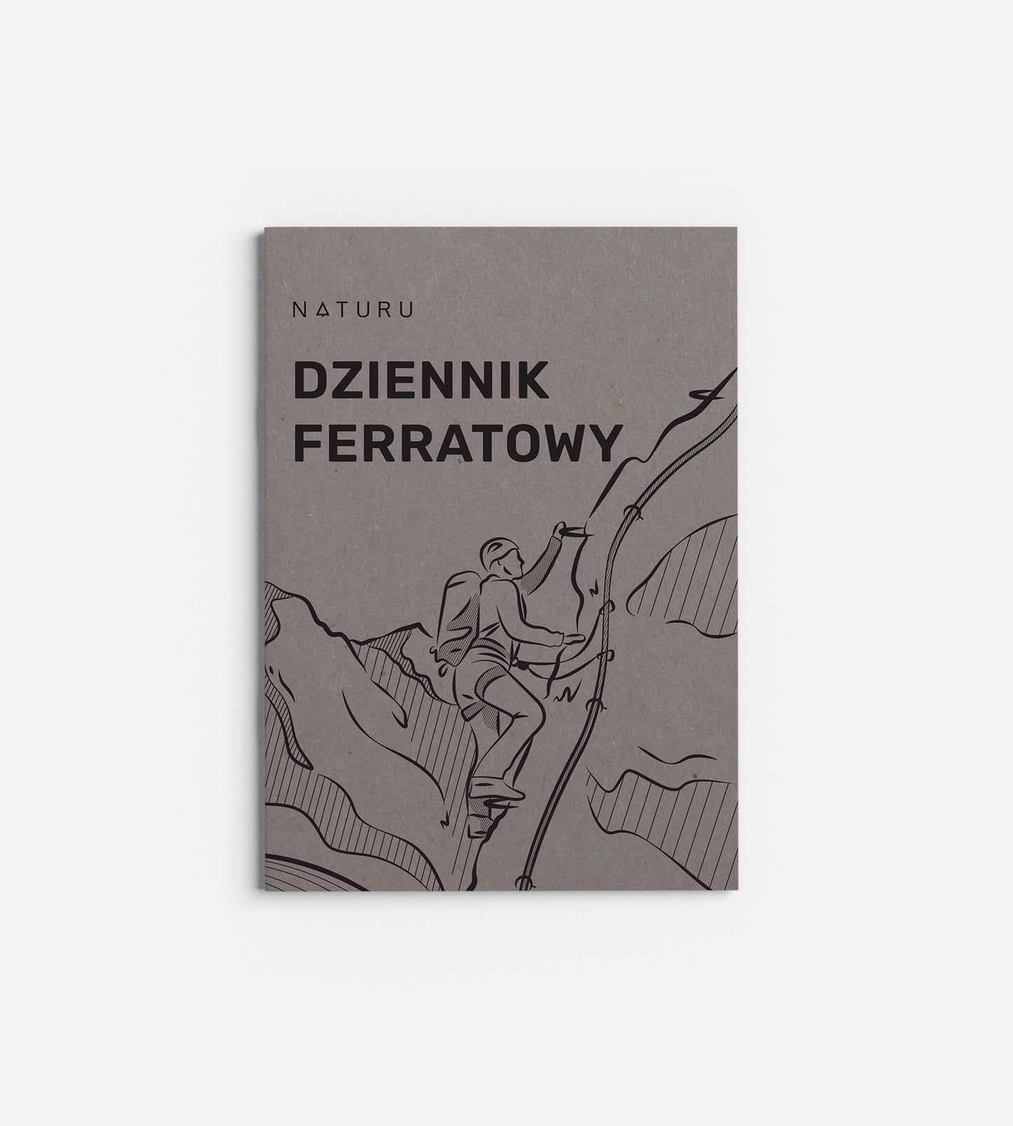 Dziennik Ferratowy