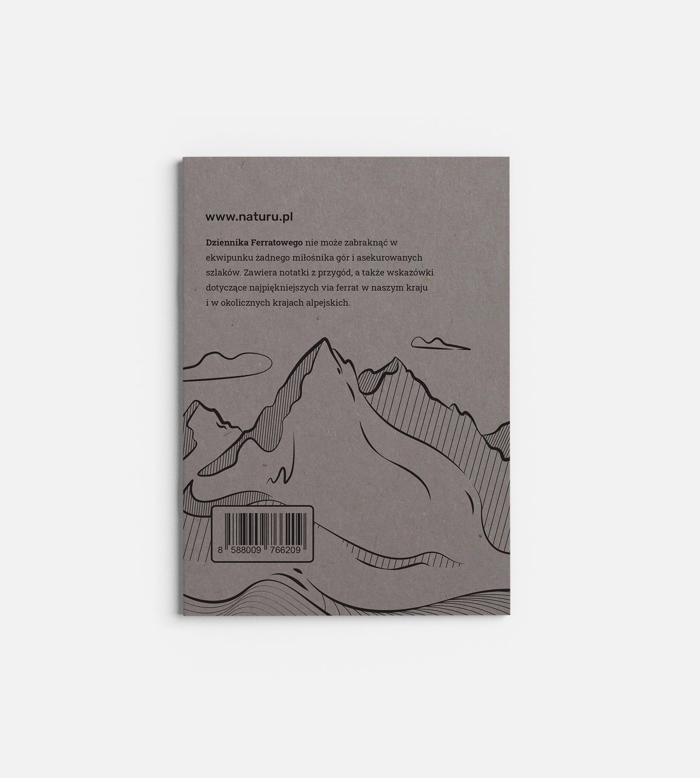 Dziennik Ferratowy